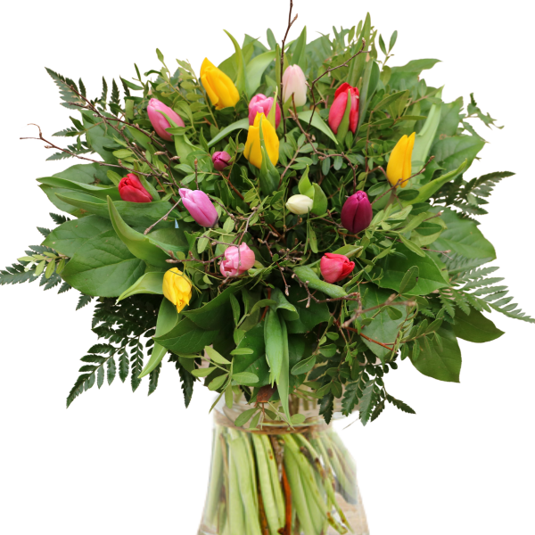 Tulpen Boeket Happy Middel
