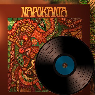 The album Napokania on VINYL