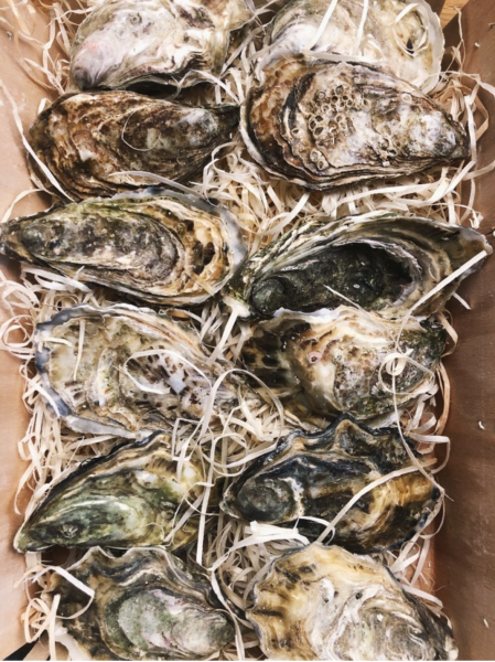 12 oesters ongeopend, oesterproeverij voor 31 december