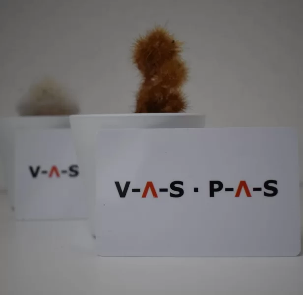 Verlenging jaarabonnement VAS-PAS