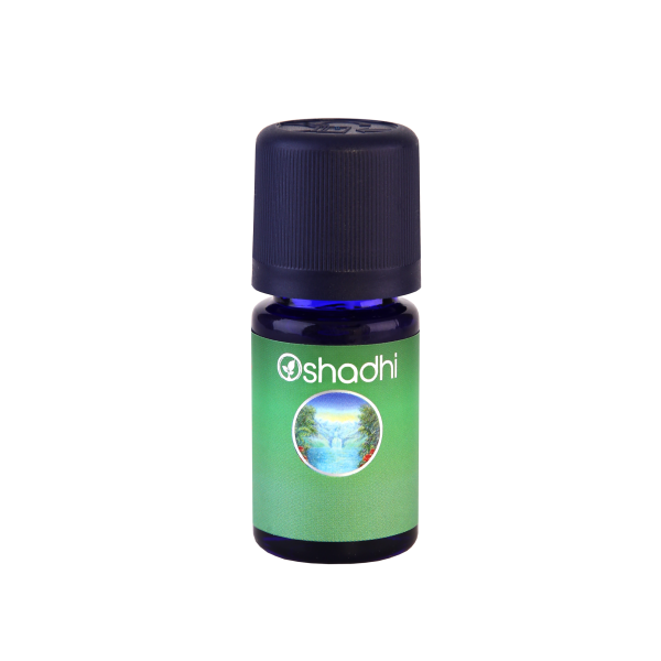 Petit Prince 5 ml