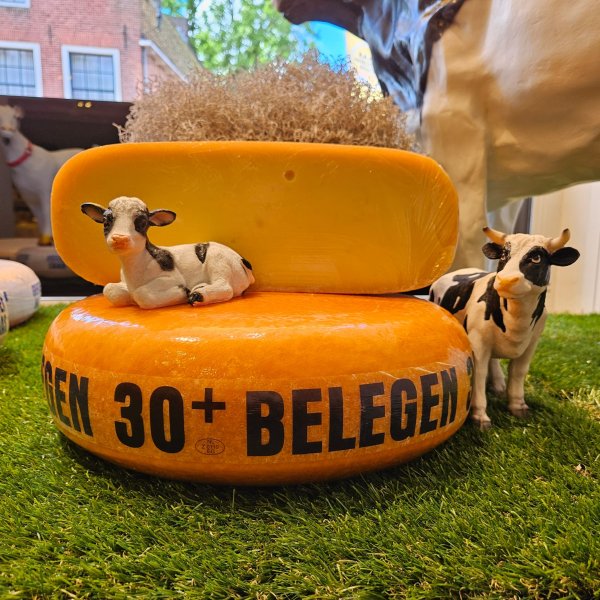 Goudse 30+ belegen kaas 