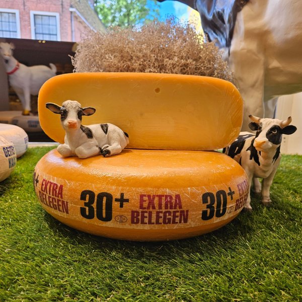 Goudse 30+ extra belegen