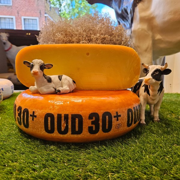  Goudse 30+ oude kaas