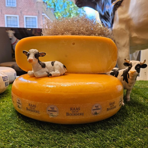 Boerderij kaas belegen